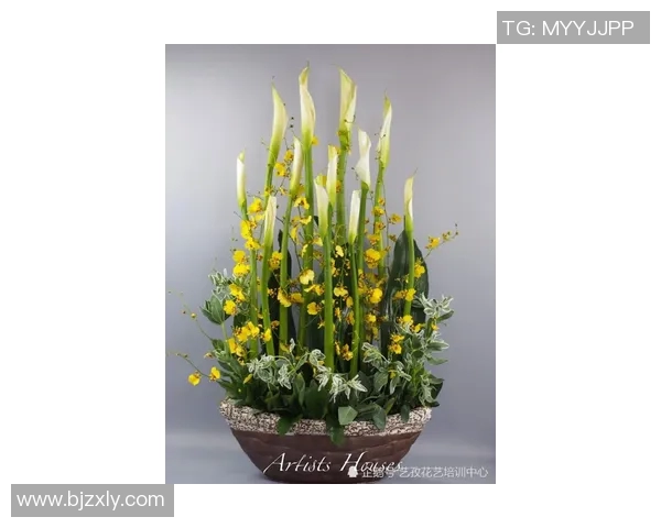 街舞新手必看：从基础到战术的全面入门指南与技巧分享