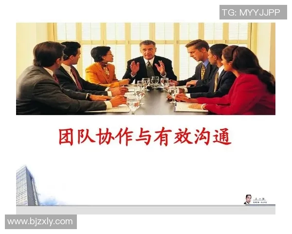 南京排球队团队协作的创新变革与热议探讨