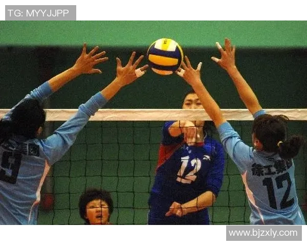 专访赵静：探寻排球背后的成功秘诀与奋斗历程